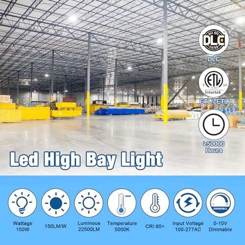 Gym Lighting LED Lights